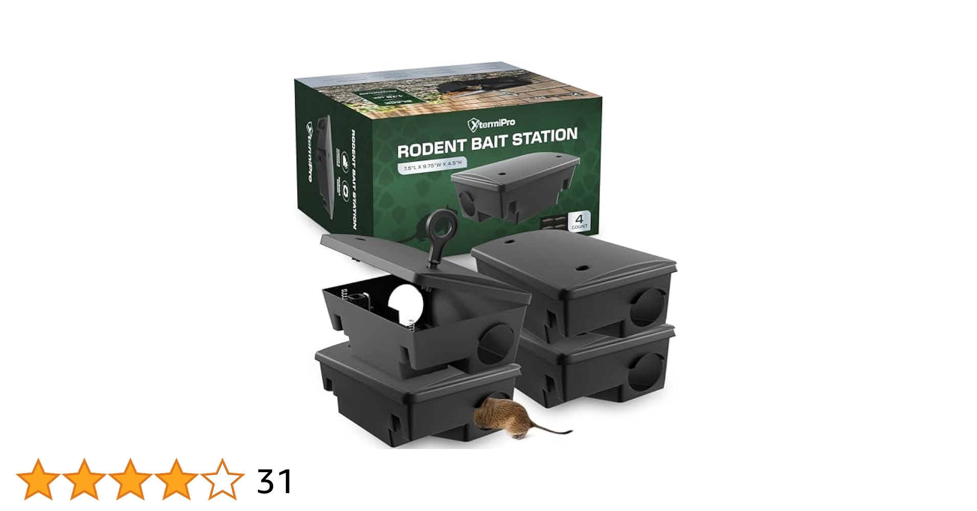 ハナダシティジムのカスミ、エクストラレギュレーションボックス エクストラレギュレーションBOX - カードラッシュ[ポケモン]